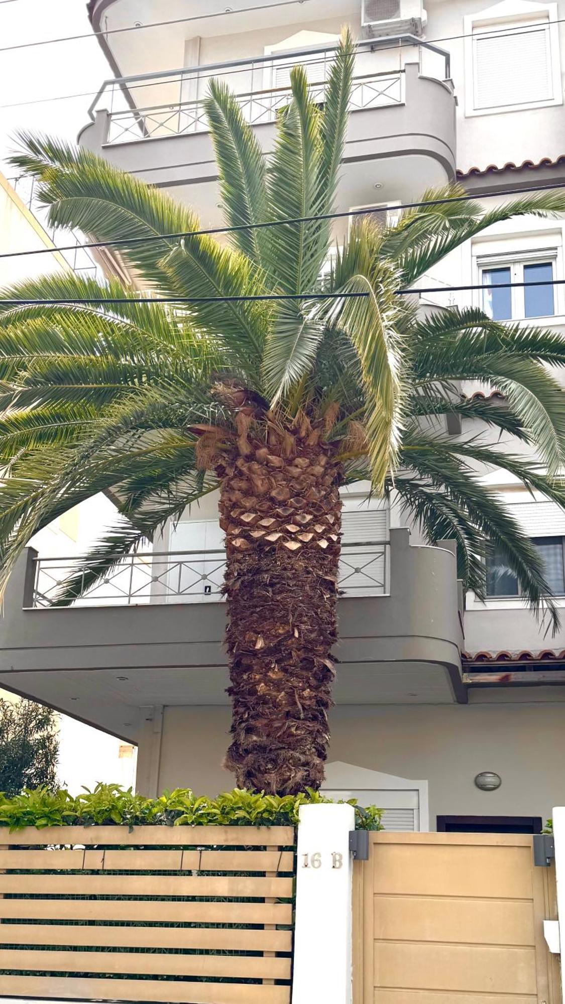 Elegant Glyfada Apartment-Private Garden-Near Metro Athens Luaran gambar